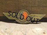 Vintage NATIONAL Airline Wings Badge (DJ50)