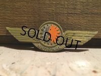 Vintage NATIONAL Airline Wings Badge (DJ50)