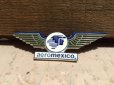 画像1: Vintage AEROMEXICO Airline Wings Badge (DJ53) (1)