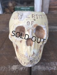 Vinatge Skull Ashtray (DJ103) 