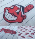 画像3: Vintage Flat Sheet / MLB Indians (DJ181) (3)