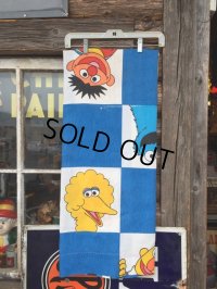Vintage Curtain / Sesame Street (DJ182)