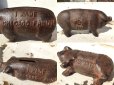 画像2: Vintage Cast Iron Pig  Piggy Bank (DJ252) (2)