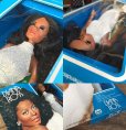 画像2: 70s Vintage Mego Diana Ross 12' MIB (DJ299) (2)