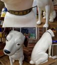 画像2: Vintage RCA Victor Nipper Dog Store Display (DJ350) (2)