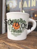 Vintage Heavy Ceramic Mug Magnolia's Peach (DJ403)