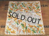 50s Vintage Souvenir Handkerchief State of Kentucky (DJ818)