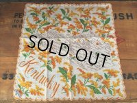 50s Vintage Souvenir Handkerchief State of Kentucky (DJ818)