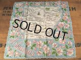 50s Vintage Souvenir Handkerchief State of Arkansas (DJ825)