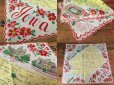 画像2: 50s Vintage Souvenir Handkerchief State of Iowa (DJ819) (2)