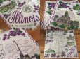 画像2: 50s Vintage Souvenir Handkerchief State of Illinois (DJ820) (2)