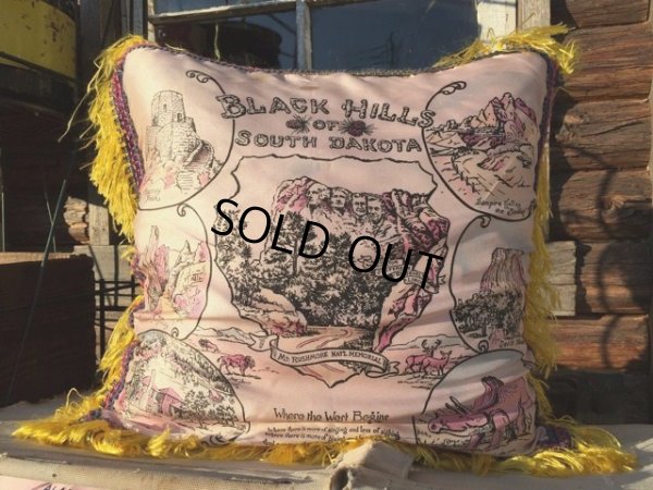 画像1: Vintage Souvenir Cushion S DAKOTA (MA195）