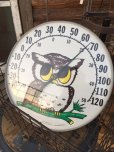 画像1: 70s Vintage Owl Thermometer (MA472) (1)