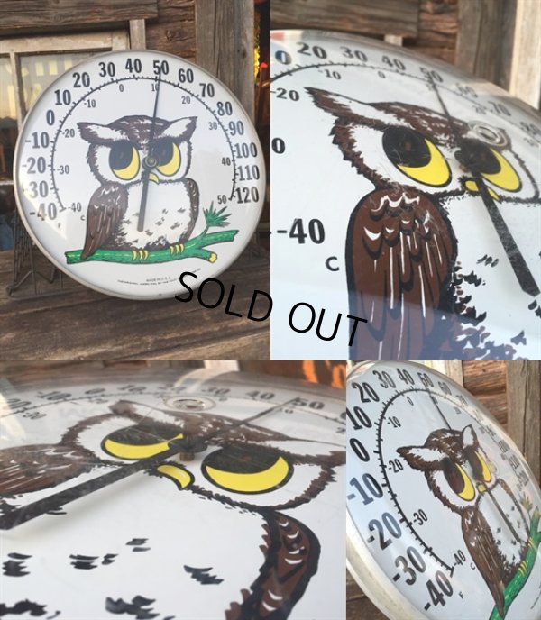 画像2: 70s Vintage Owl Thermometer (MA472)