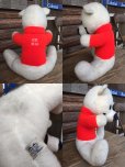 画像2: 70s Vintage ICEE BEAR Plush Doll (MA607) (2)