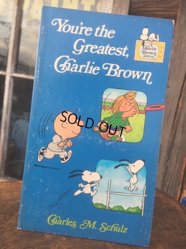 画像1: Vintage Snoopy Comic Paperback Book (AL9383) 