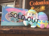 90s Vintage Crayora Bunny Easter Treats (AL171)