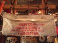 画像1: Vintage Apron True Value Kide Co-Op Grain & Lumber (AL310) (1)