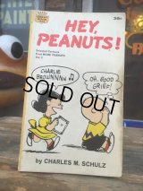 Vintage Snoopy Paperback Comic (AL335) 
