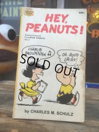 Vintage Snoopy Paperback Comic (AL335) 
