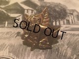 Vintage MackTruck Pins (AL9636)