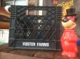 画像1: Vintage Foster Farms Plastic Crate Box (AL449) (1)