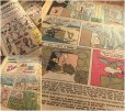 画像3: Vintage Comic Beep Beep The Road Runner 1972 No31  (AL508)  (3)