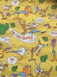 画像1: 70s Vintage Flat Sheet /  Road Runner & Wile E. Coyote (AL961) (1)