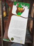 画像5: 70s Vintage Woodsy Owl Pre-school Doll w/box (J019)