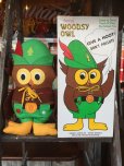 画像1: 70s Vintage Woodsy Owl Pre-school Doll w/box (J019) (1)