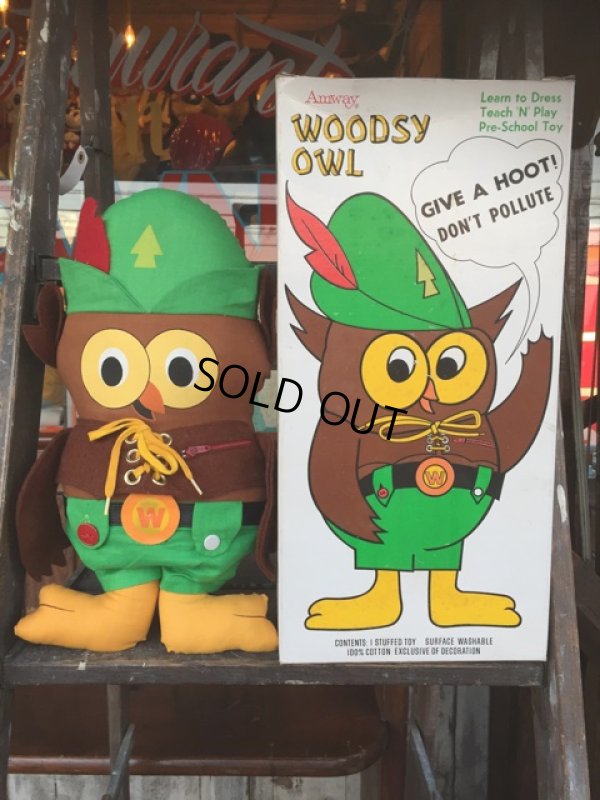 画像1: 70s Vintage Woodsy Owl Pre-school Doll w/box (J019)