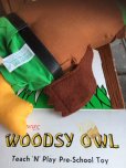 画像10: 70s Vintage Woodsy Owl Pre-school Doll w/box (J019)