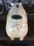 画像8: Vintage Ceramic Pig Piggy Bank (J058)