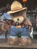 90s Vintage Smokey Bear Puppet Doll (J063) 