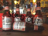Budweiser Beer Bottle & Frog String Light (J119)