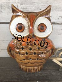 Vintage Ceramic Owl TV Lamp (J257)  