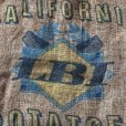 画像5: Vintage LBI Potato Burlap Bag 100 LBS (J291)