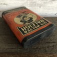 画像5: Vintage SIR WALTER RALEIGH Tabacco Pocket Tin Can (J341)    