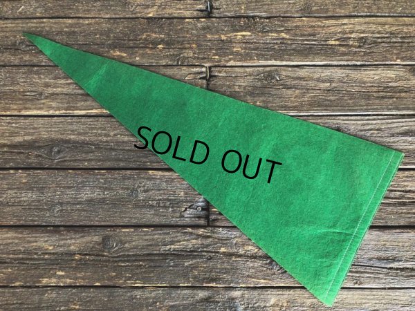 画像5: 60s Vintage NFL Pennant Flag Banners NY JETS (J353)