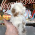 画像8: Vintage Kitty Cat Genuine Fur Boudoir Pets (J402)