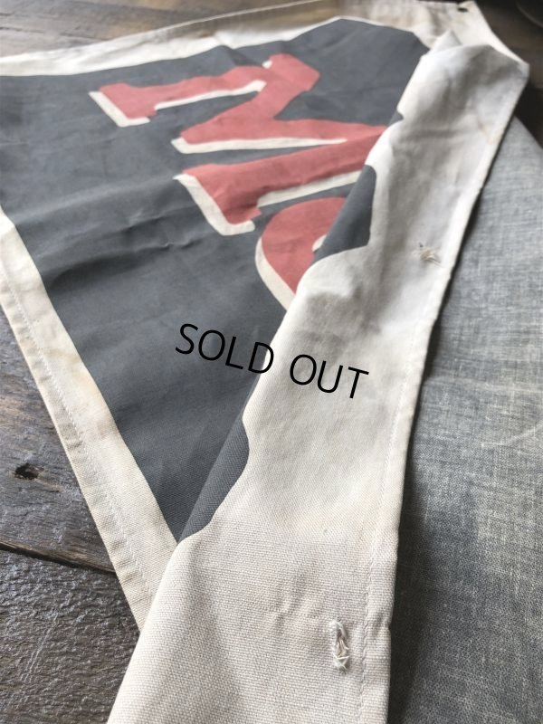 画像6: Vintage Outdoor Marmot Advertising Banner Sign (J419)