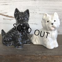 Vintage Black & White Scotch Whisky Salt & Pepper Shaker (J810)