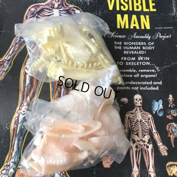 画像6: 50s Vintage Renwal The Visible Man Kit (J880) 