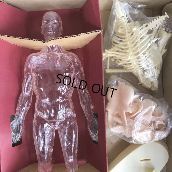 画像4: 50s Vintage Renwal The Visible Man Kit (J880) 