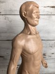 画像5: 70s Vintage Leon Schlossber Human body Model (J879) 