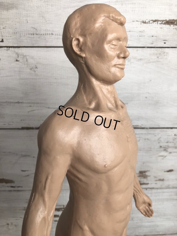 画像5: 70s Vintage Leon Schlossber Human body Model (J879)