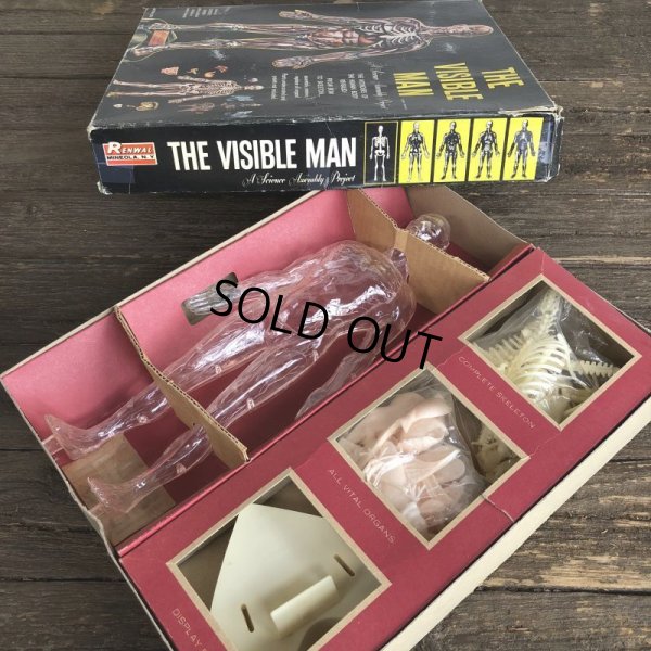 画像2: 50s Vintage Renwal The Visible Man Kit (J880) 