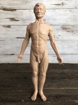 画像1: 70s Vintage Leon Schlossber Human body Model (J879)  (1)