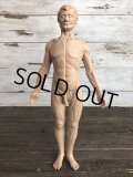 70s Vintage Leon Schlossber Human body Model (J879) 