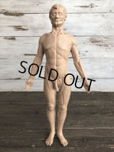 70s Vintage Leon Schlossber Human body Model (J879) 
